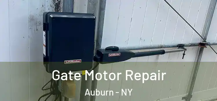 Gate Motor Repair Auburn - NY